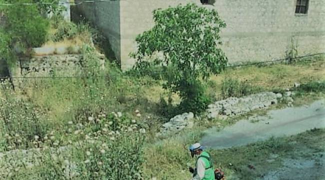 Aliağa Belediyesi yabani ot ve haşere İle mücadelerine aralıksız devam ediyor