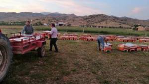 Büyükşehir 2020'nin ilk kovanlarını dağıttı