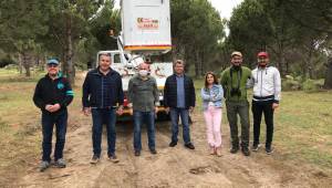  Çam fıstığındaki verim düşüklüğüne 10 proje ile çözüm aranıyor