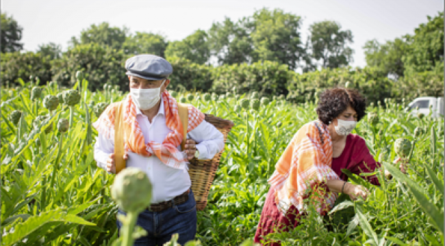 Çiftçiler Günü'nde Başkan Soyer sırtında küfeyle enginar hasadına katıldı
