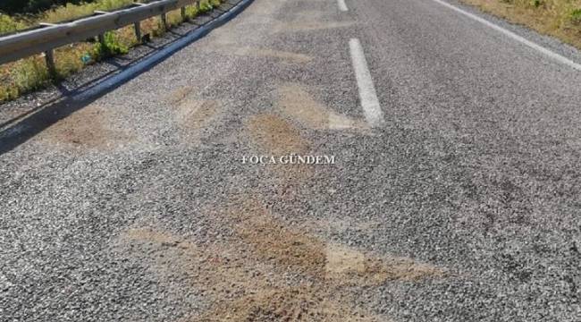 Foça'da Trafik Kazası 2 Genç Hayatını Kaybetti