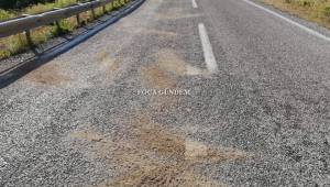 Foça'da Trafik Kazası 2 Genç Hayatını Kaybetti