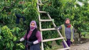 İzmir dayanışması büyüyor