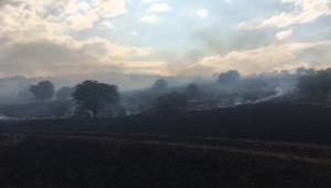  İzmir'in Tire ilçesinde ekin tarlaları çıkan yangında küle döndü.