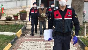 Menemen'de Hayvan hırsızları yakalandı