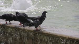  sıcak hava rekor seviyede