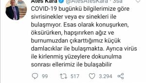 Sivrisinekler koronavirüsü taşır mı? 