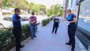 Sokağa çıkan koca çınarların maskesi belediyeden