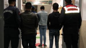 Tire 'de küçükbaş hayvan hırsızları yakalandı