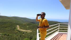 Yanan Sahalar Yılı İçinde Yeniden Ağaçlandırılıyor