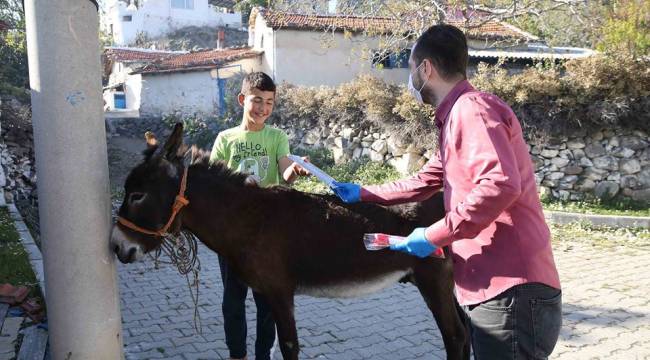 YÜZÜNCÜ YIL HEDİYELERİ, YÜZLERİ GÜLDÜRDÜ