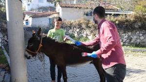 YÜZÜNCÜ YIL HEDİYELERİ, YÜZLERİ GÜLDÜRDÜ