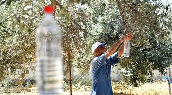  Zeytin Sineğine Karşı Toplu Mücadele Protokolü İmzalandı