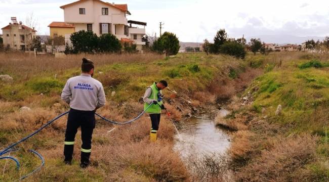 Aliağa Belediyesi'nin Sivrisinek Ve Karasinek Mücadelesi Tüm Mahallelerde Etkin Olarak Sürüyor.