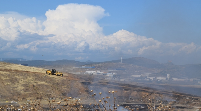 Aliağa'da Otluk Alanda Yangın 