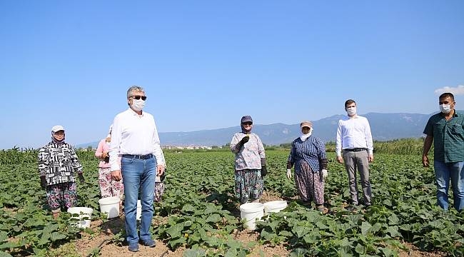 Başkan Arslan: Kazdağları 3T ile gündeme gelecek