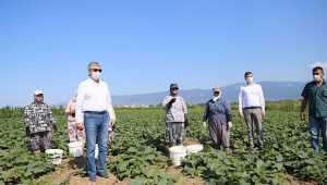 Başkan Arslan: Kazdağları 3T ile gündeme gelecek