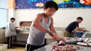 Çalışan çocukların yüzde 34,3'ü okula gitmiyor