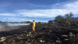 Dikili'de 1 hektarlık alan yandı