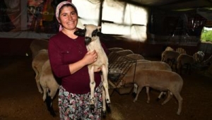 İzmir kırsalında "başka bir tarım" modeli gelişiyor