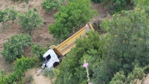 Kaplumbağanın hayatını kurtardı, aracı uçuruma yuvarlandı