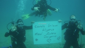 ÖNLEMLERİ ALDILAR MAVİ SULARA DALDILAR