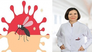 Sinekten koronavirüs geçer mi?