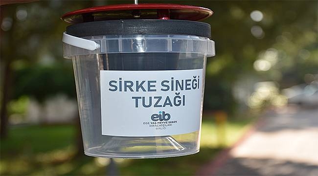 Sirke sineğine tuzaklı önlem