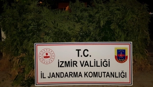 Dikili ve Menemen ilçelerinde uyuşturucu operasyonu