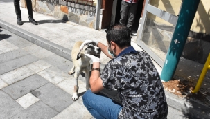 EDREMİT BELEDİYESİ ÖMÜRLÜK YUVASI OLDU