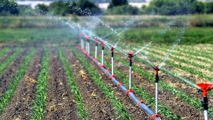 Elektrik ücretlerindeki artış çiftçinin belini büküyor