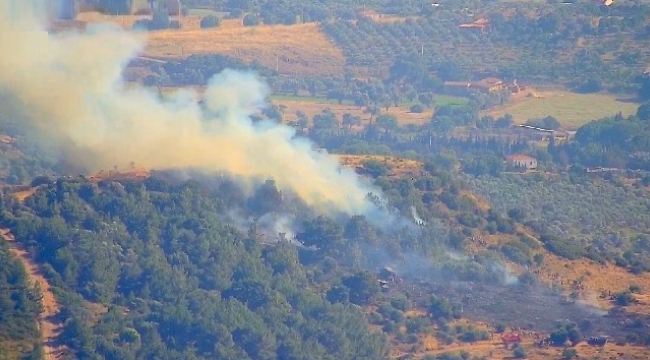 Foça'da çıkan orman yangını kısa sürede kontrol altına alındı