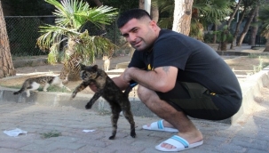 Kediyi ezmemek için motosikletiyle kaza yaptı