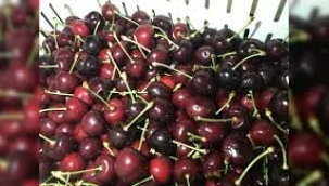 Kiraz ihracatı 200 milyon dolara gidiyor