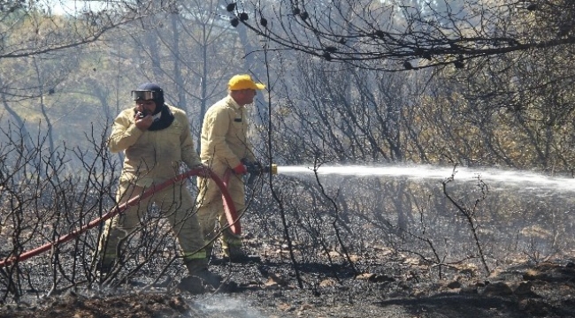 Korkutan orman yangını ile ilgili bir şüpheli gözaltına alındı