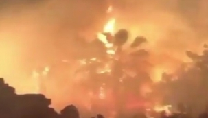 ot yangını paniğe sebep oldu