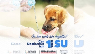 Sokak hayvanları için 'bir kap su' kampanyası
