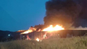 Yangından etkilenen muhabbet kuşlarını itfaiye kurtardı