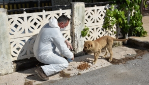 Aliağa Belediyesi, sağlıklı bir bayram için seferber oldu