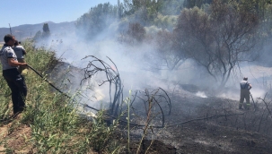 Aliağa'da Bir Tarlada Yangın çıktı