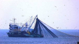 Balık sezonu 1 Eylül'de başlıyor