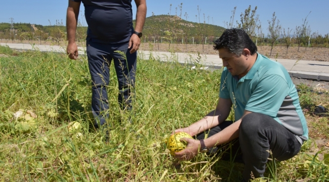 Başkan Serkan Acar Hafta Sonunu Çalışanlarla Birlikte Sahada Geçirdi