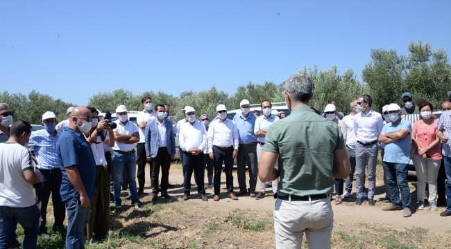 Bergama'da 'tarla günü' etkinliği