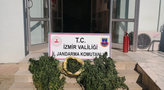 Bergama,Kiraz ve Beydağ ilçelerinde uyuşturucu operasyonu: 2 gözaltı