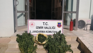 Bergama,Kiraz ve Beydağ ilçelerinde uyuşturucu operasyonu: 2 gözaltı