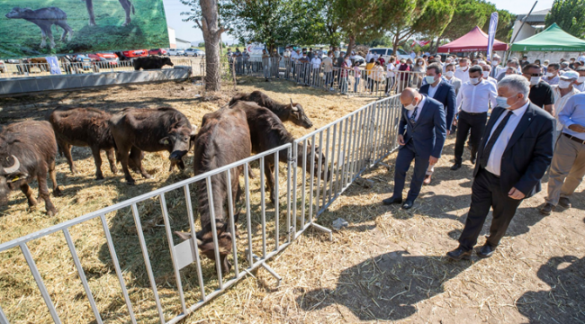 Büyükşehir Belediye Başkanı Soyer'in köylüye desteği sürüyor