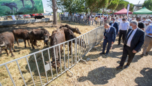 Büyükşehir Belediye Başkanı Soyer'in köylüye desteği sürüyor
