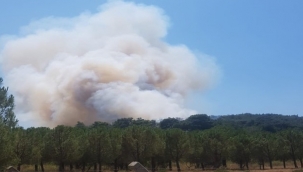 İzmir'de bir orman yangını daha çıktı