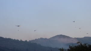 İzmir'deki yangında havadan söndürme çalışmaları yeniden başladı