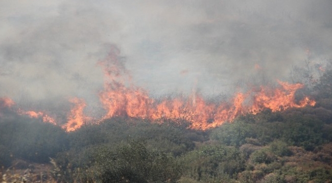 İzmir'deki yangınların ardından itfaiye personellerinin izinleri kaldırıldı
